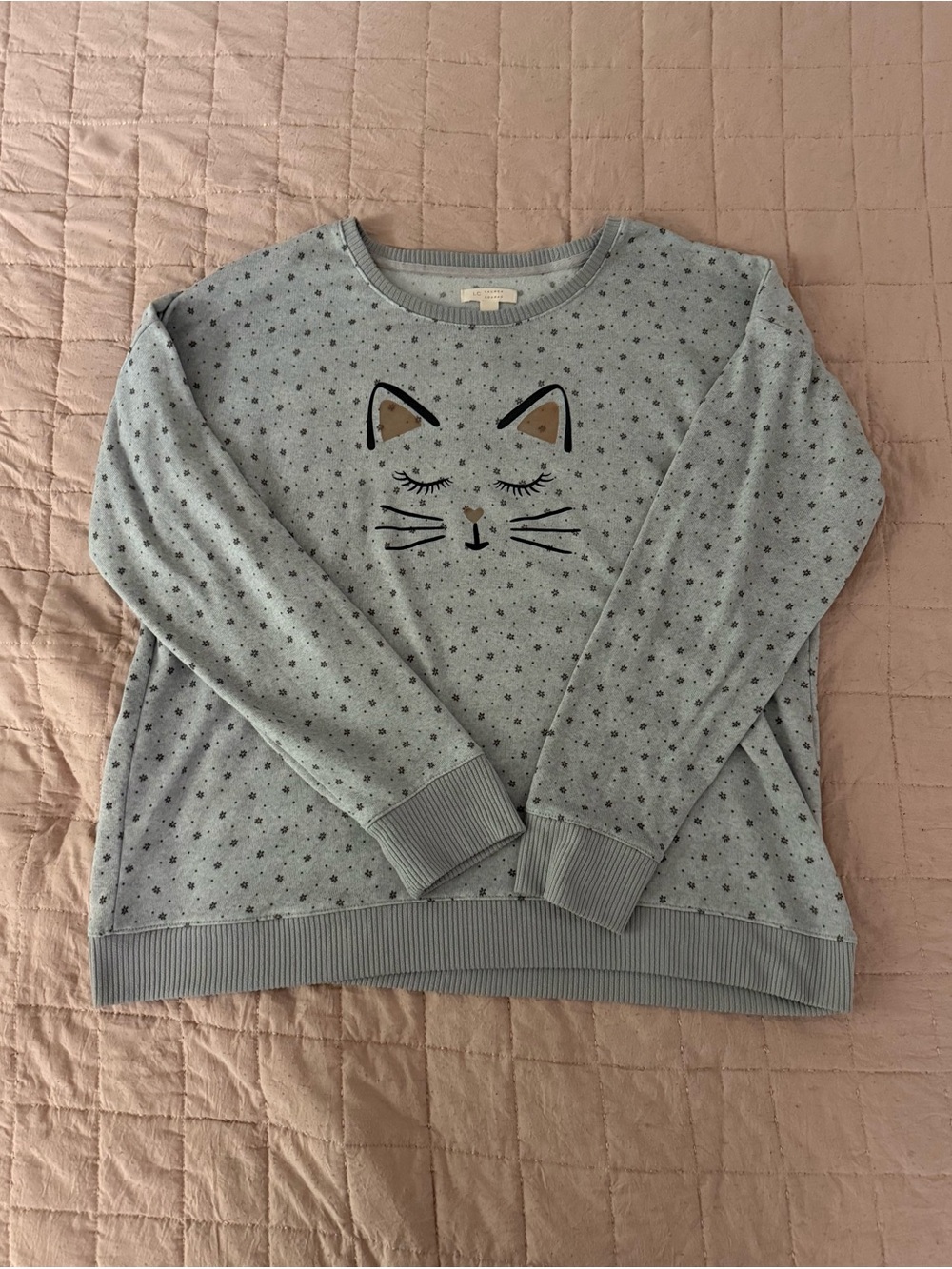 Cozy Light Grey Cat Face Sweatshirt